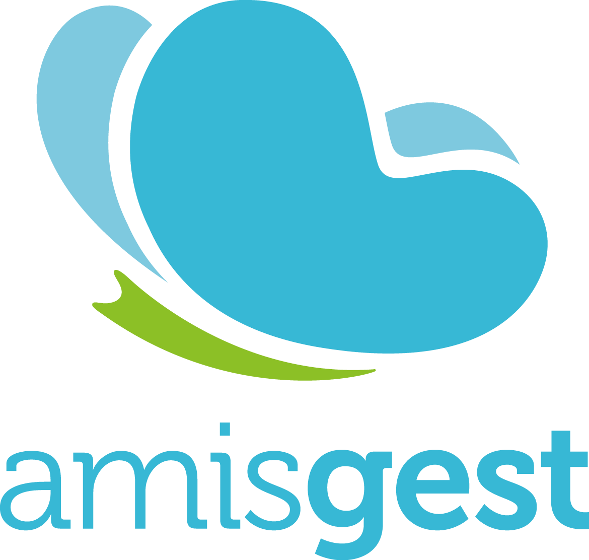 amisgest.ca